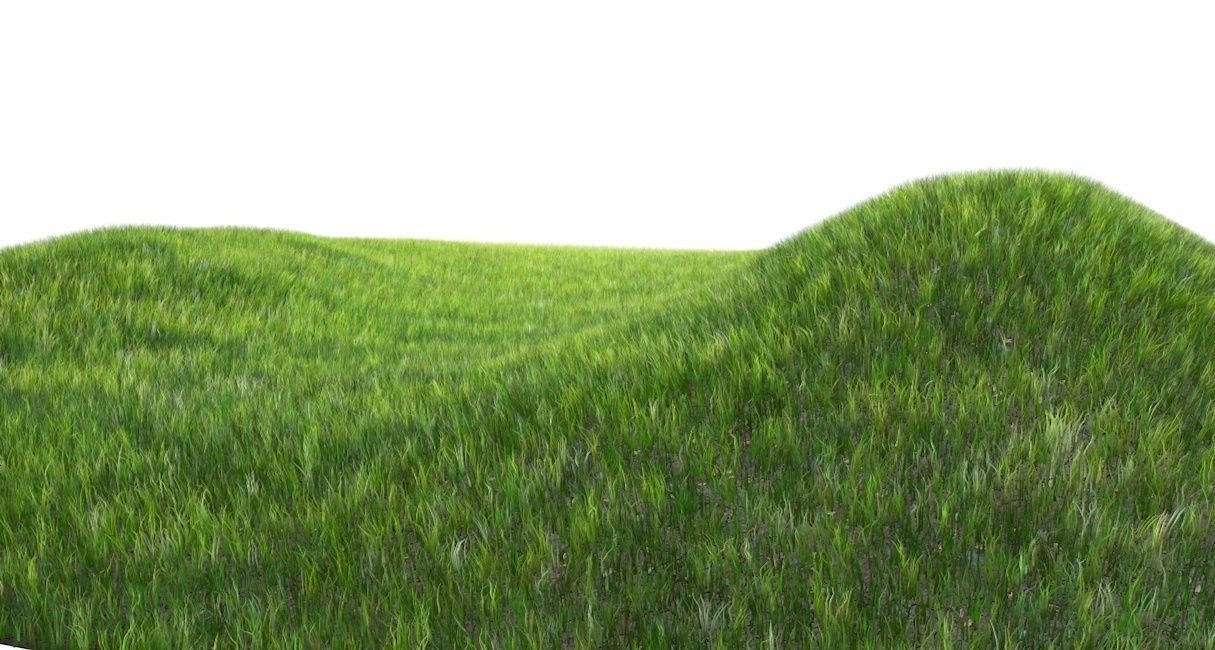 Dynamic Grass 3D model_4