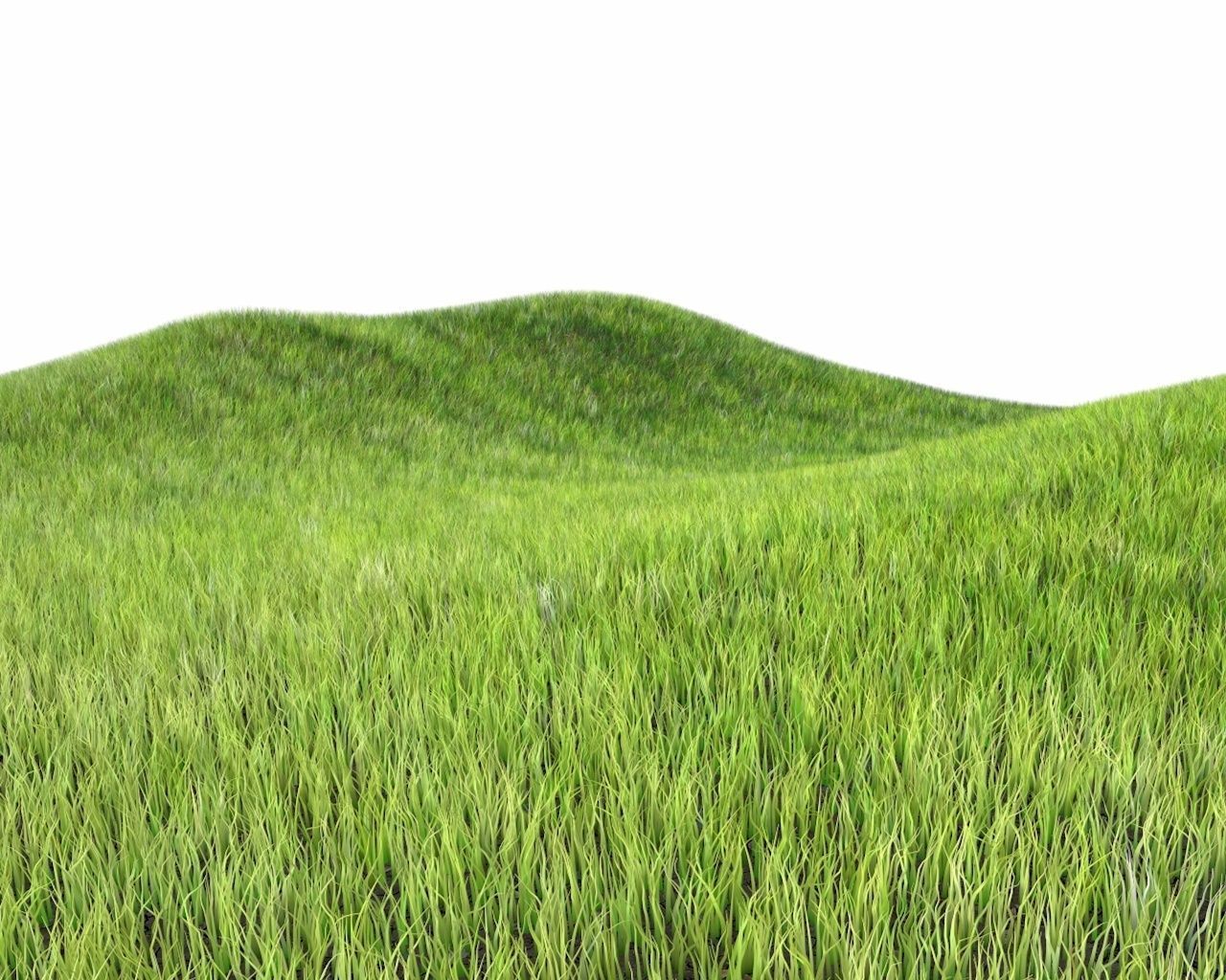 Dynamic Grass 3D model_10