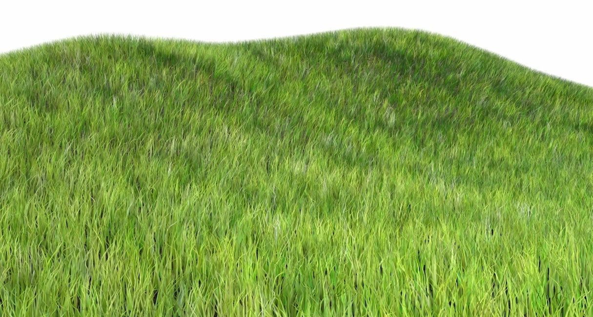 Dynamic Grass 3D model_1
