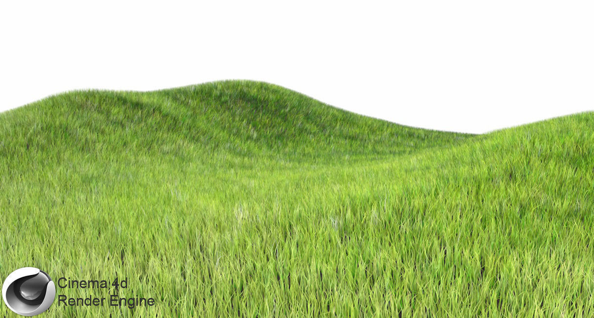 Dynamic Grass 3D model_9