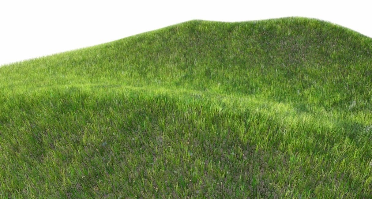 Dynamic Grass 3D model_3
