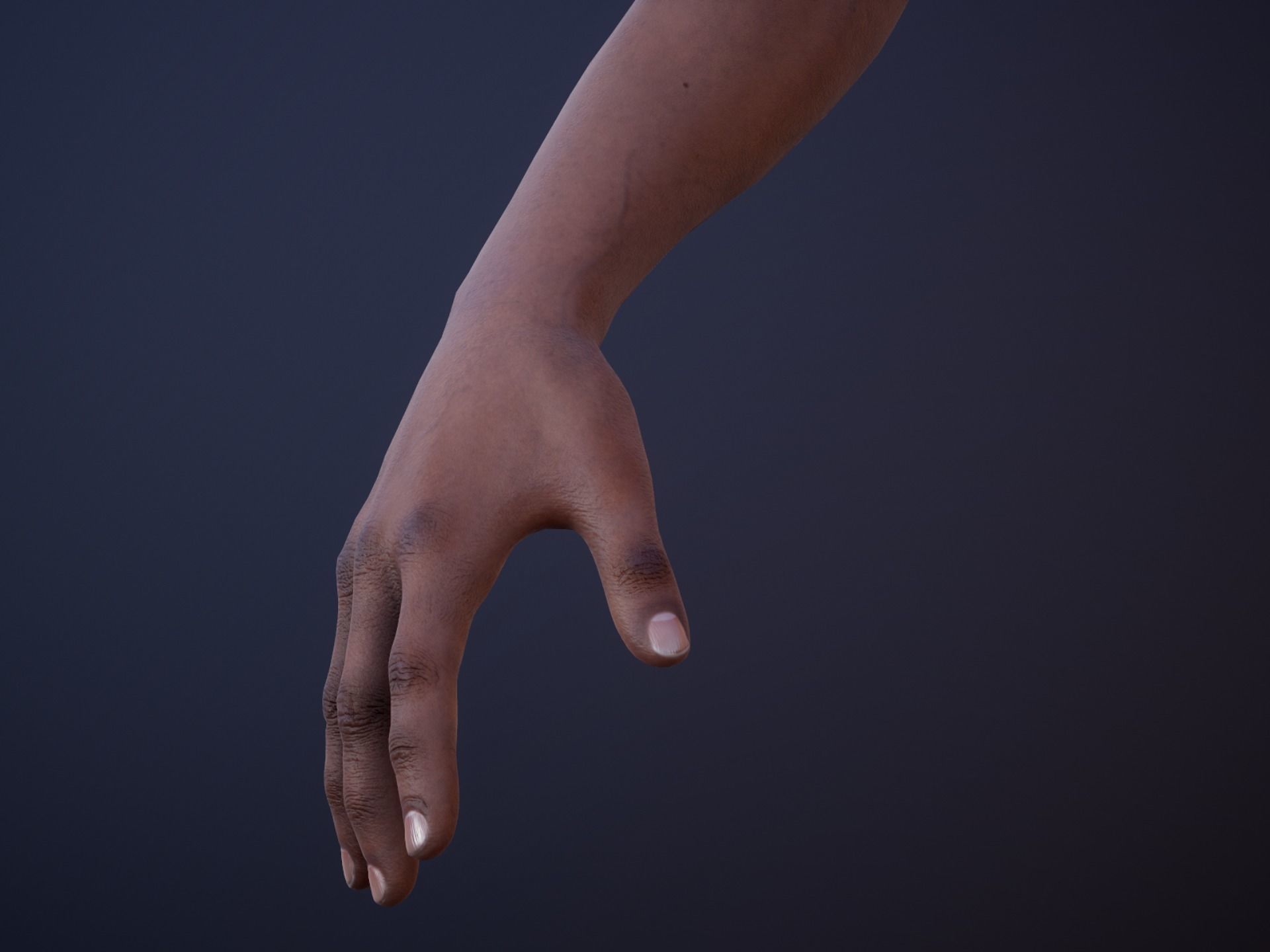 First Person Arms - 2 Low-poly 3D model_6