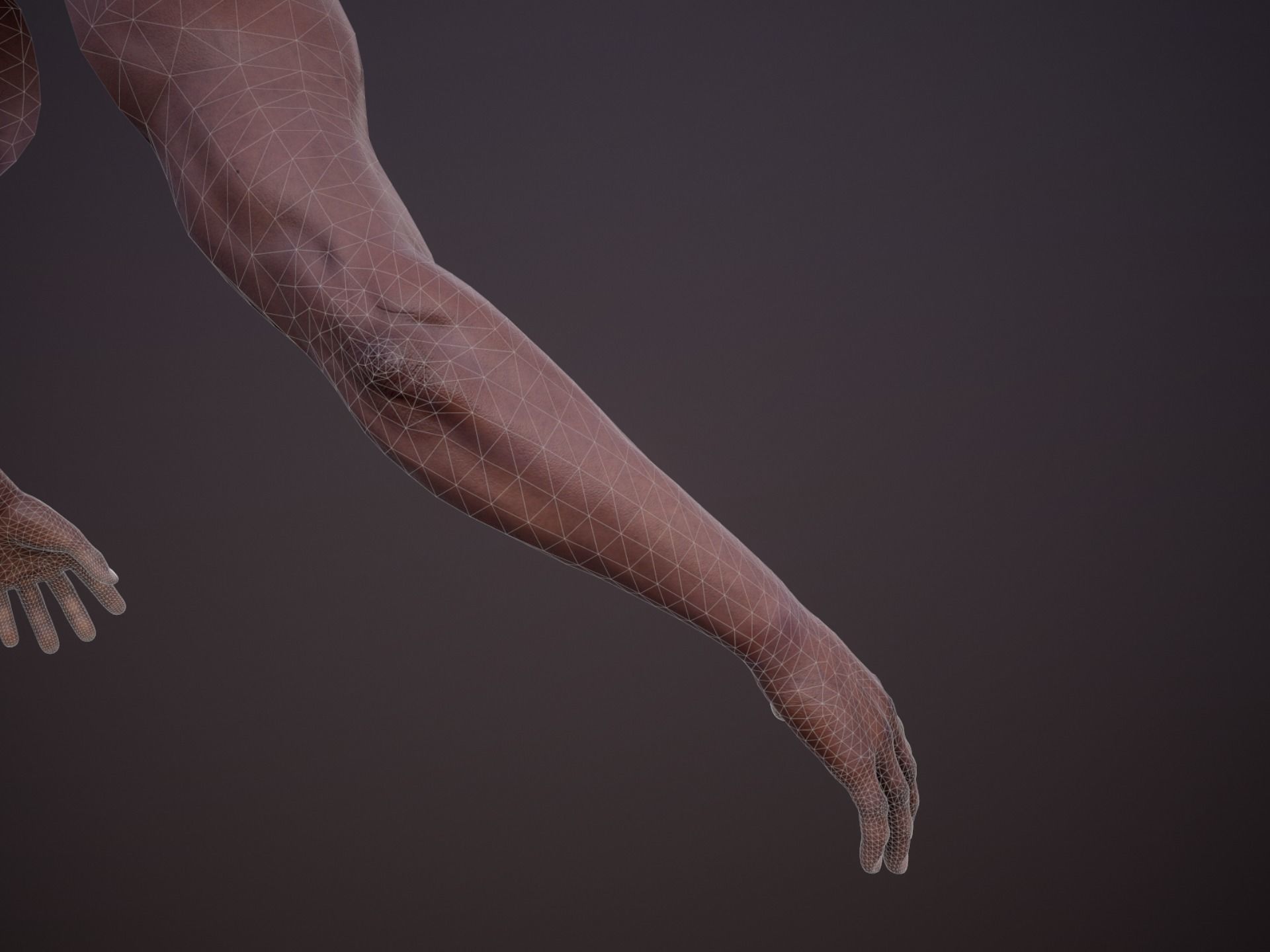 First Person Arms - 2 Low-poly 3D model_10