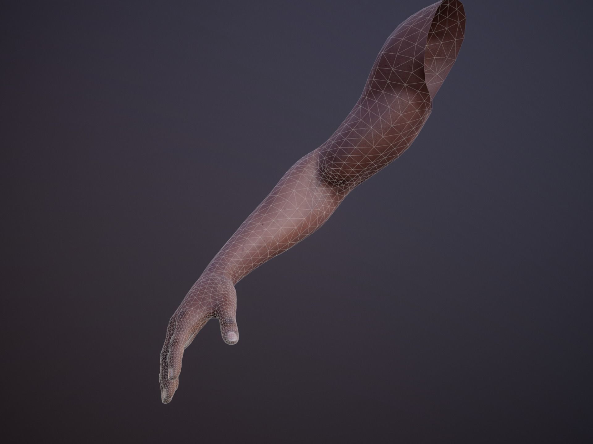 First Person Arms - 2 Low-poly 3D model_8