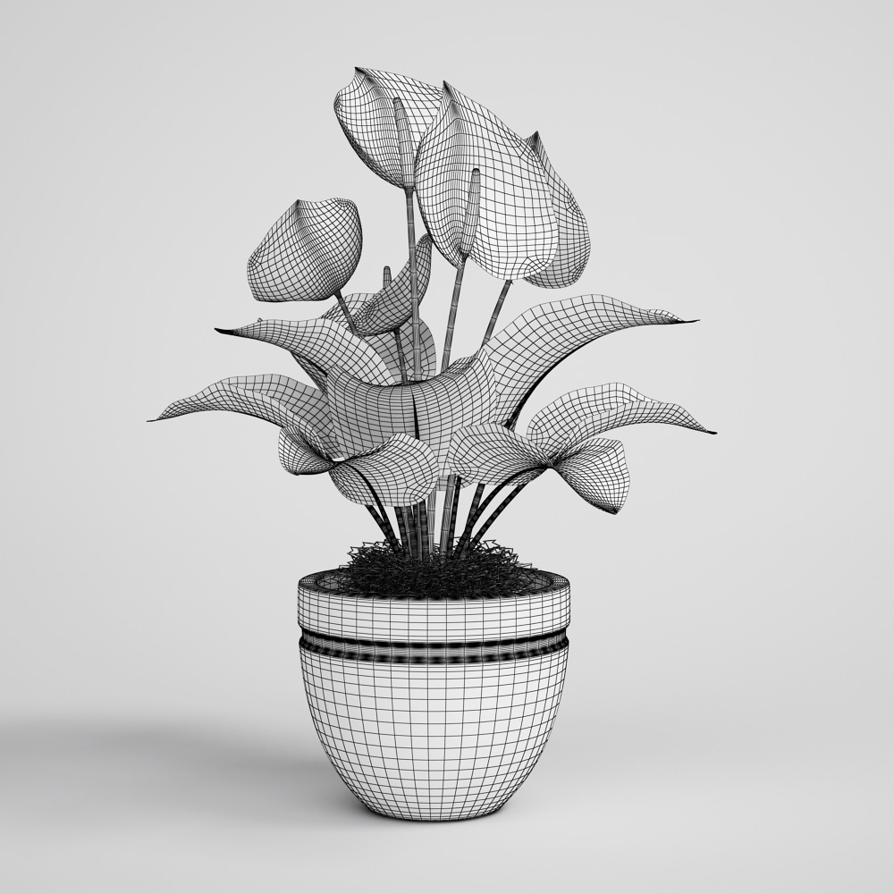 CGAxis flower 3D model_1