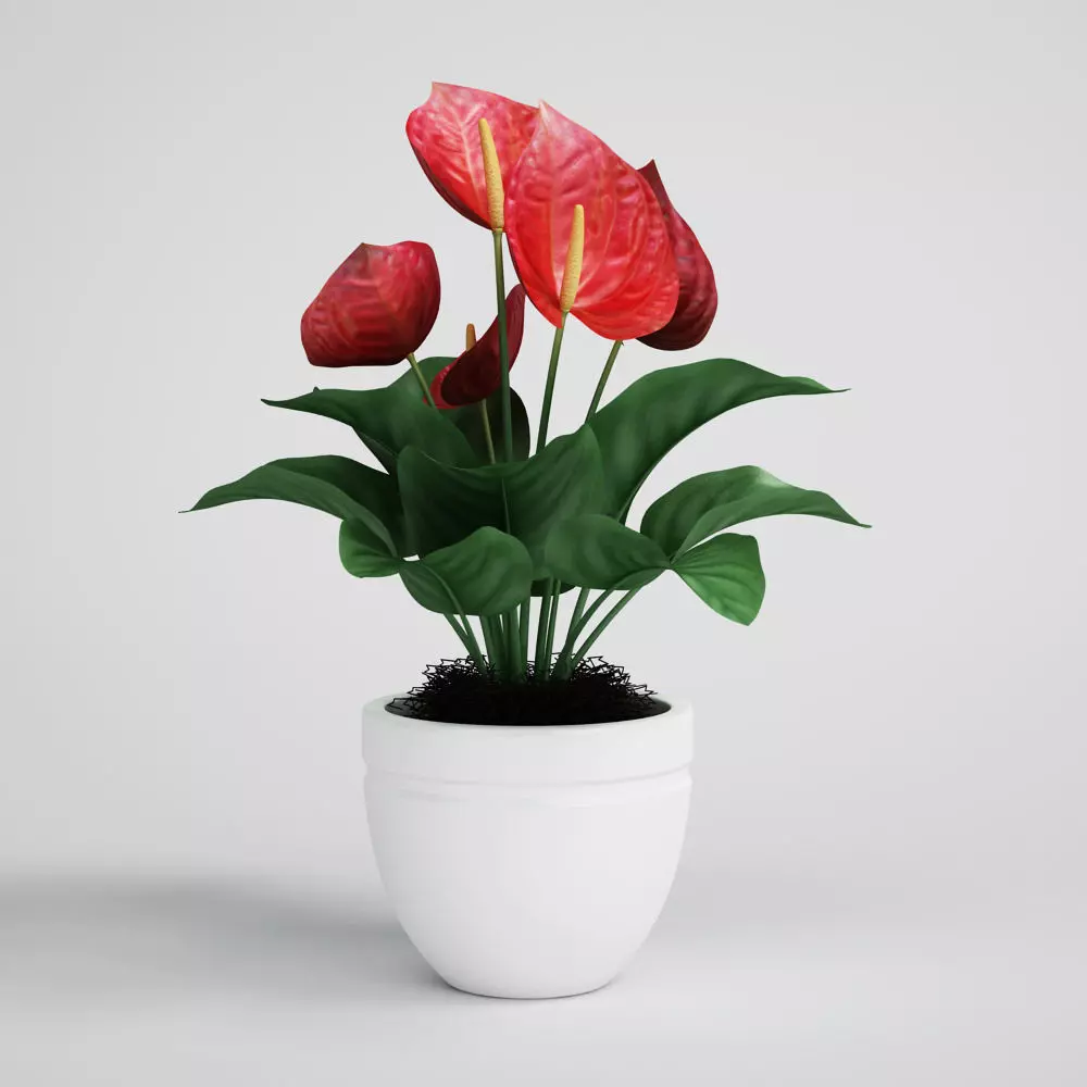 CGAxis flower 3D model_0