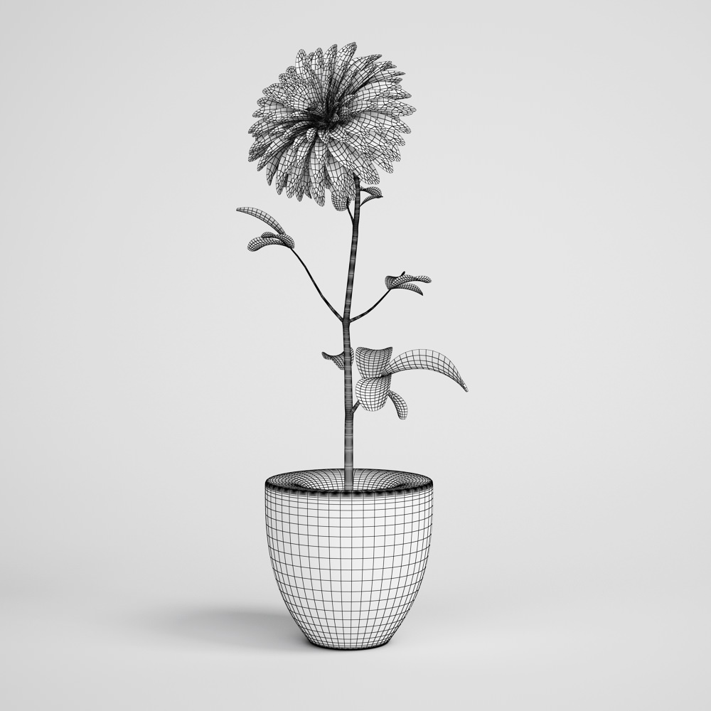 CGAxis flower 3D model_1
