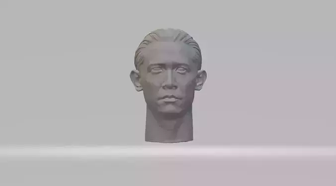  Tony Leung Head 3D Model
