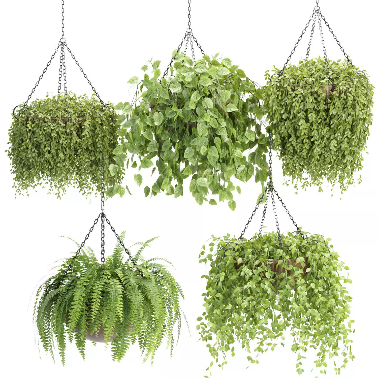 Hanging plants collection vol 142 3D model_0