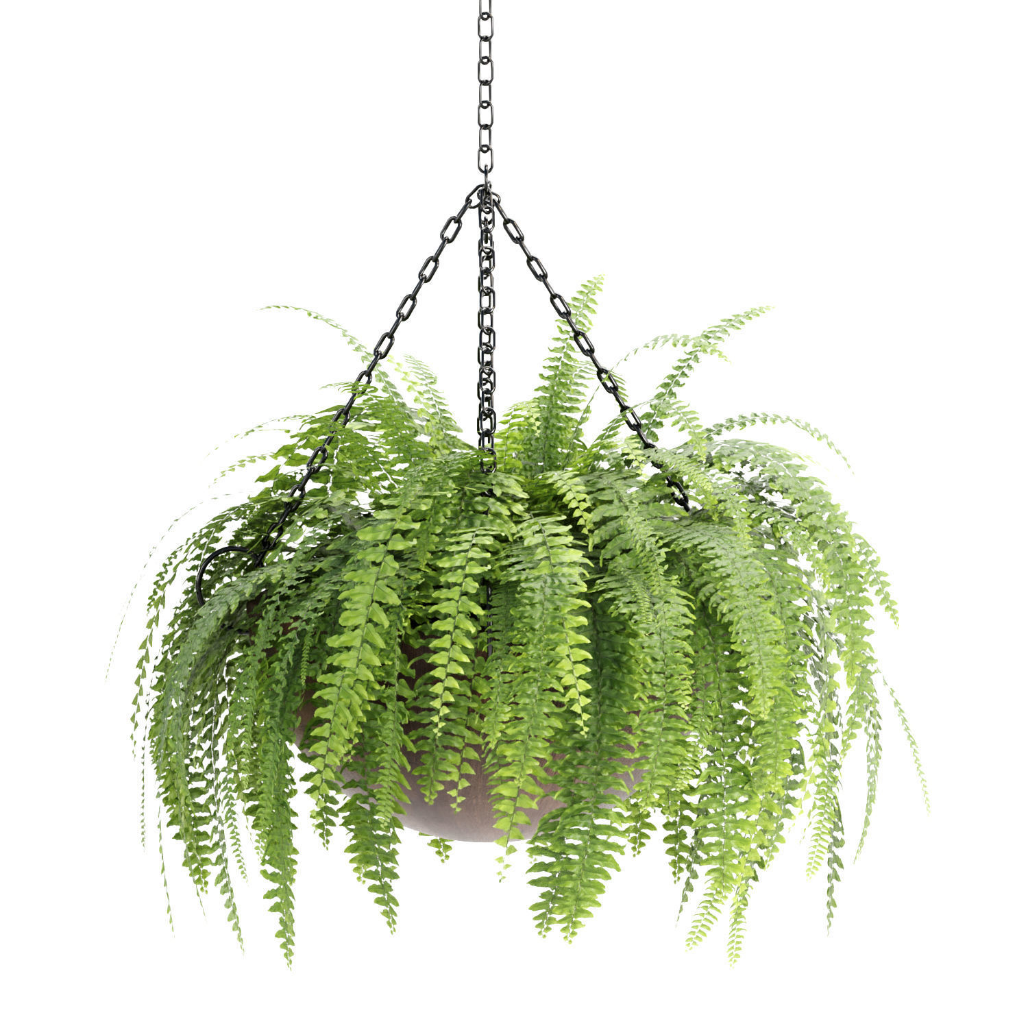 Hanging plants collection vol 142 3D model_4