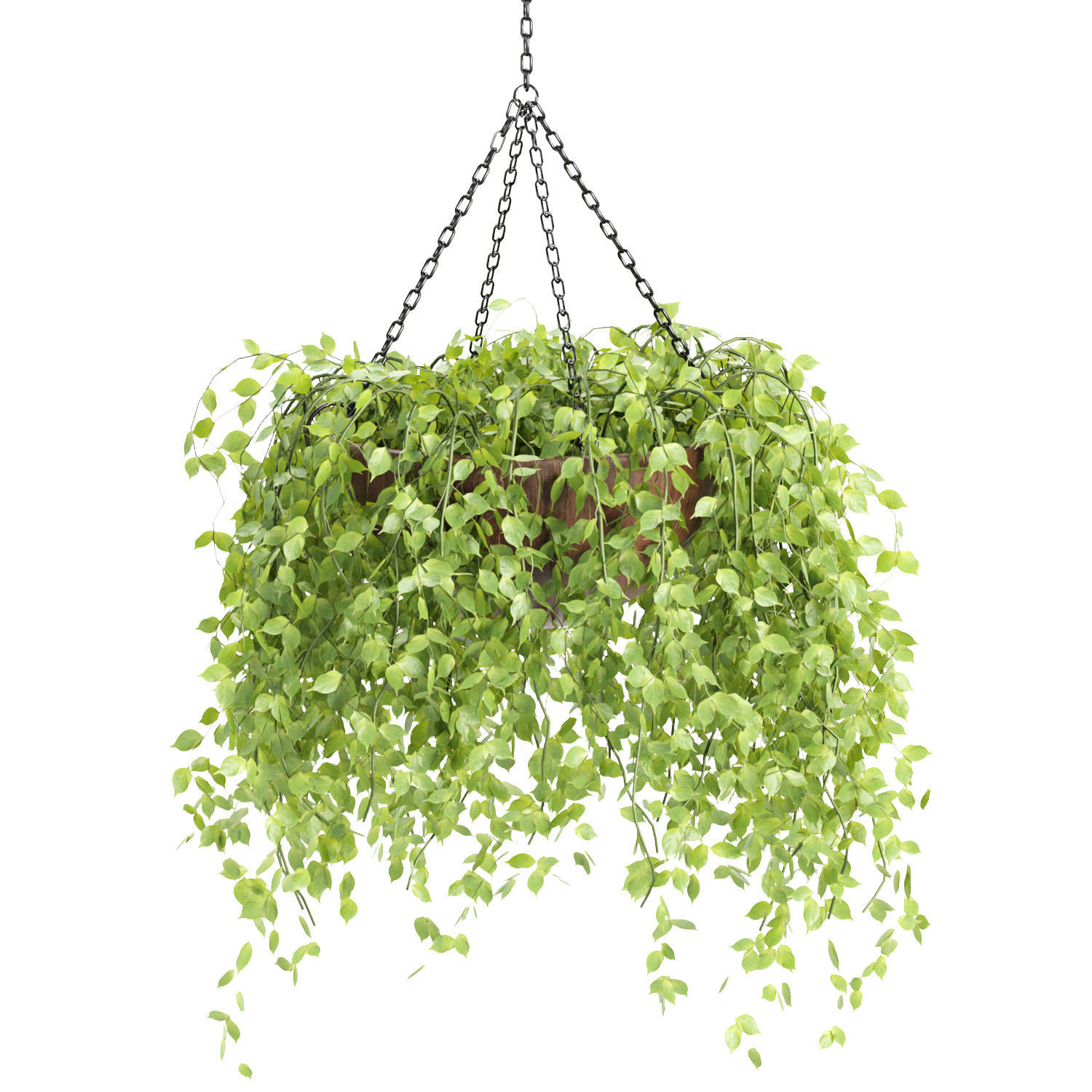 Hanging plants collection vol 142 3D model_5