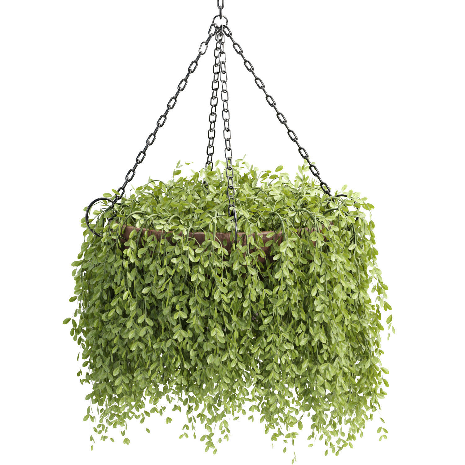 Hanging plants collection vol 142 3D model_1