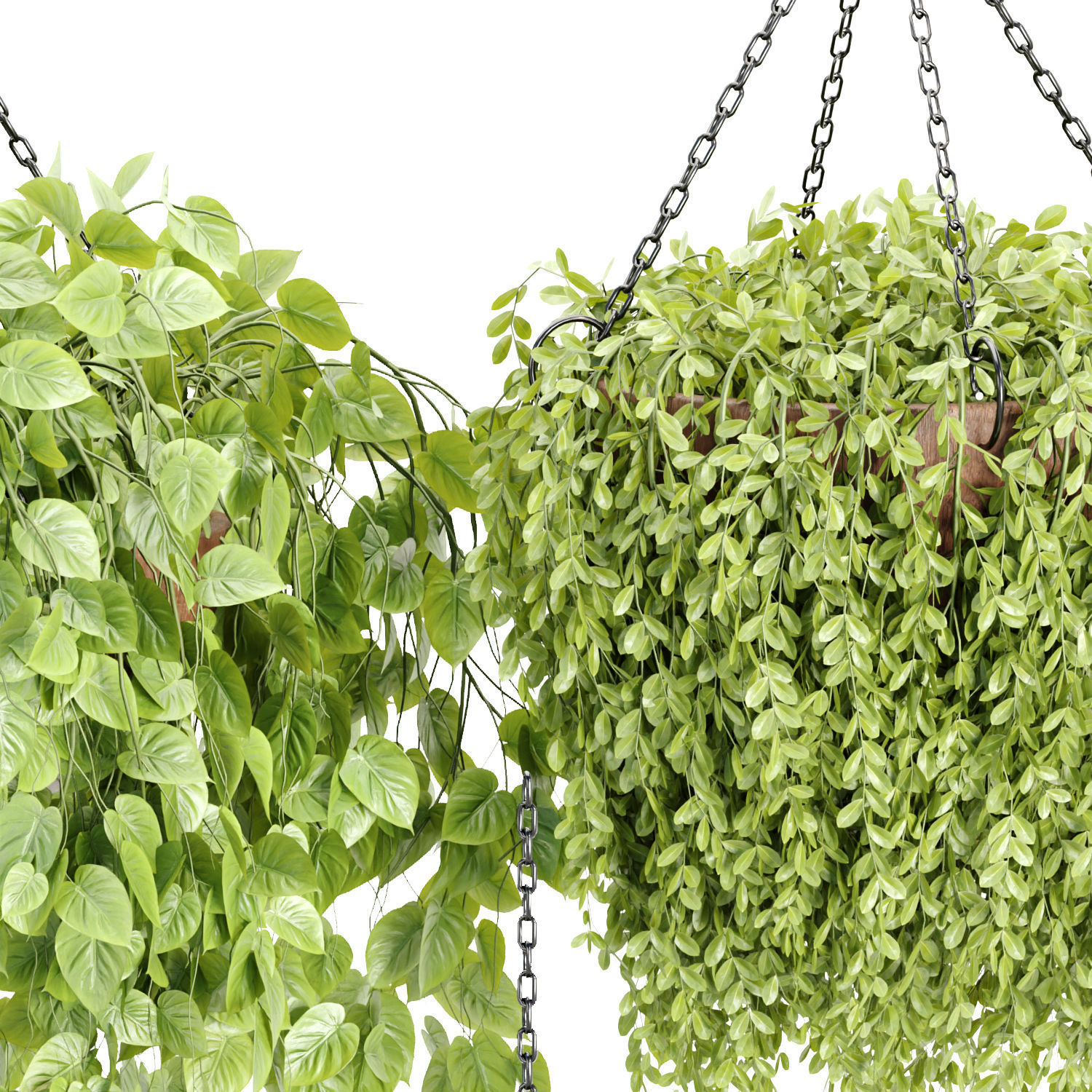 Hanging plants collection vol 142 3D model_6