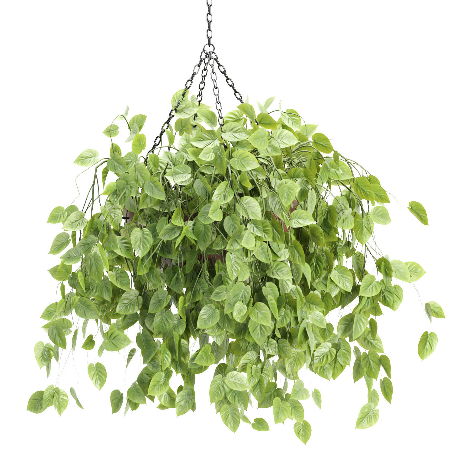Hanging plants collection vol 142 3D model_2