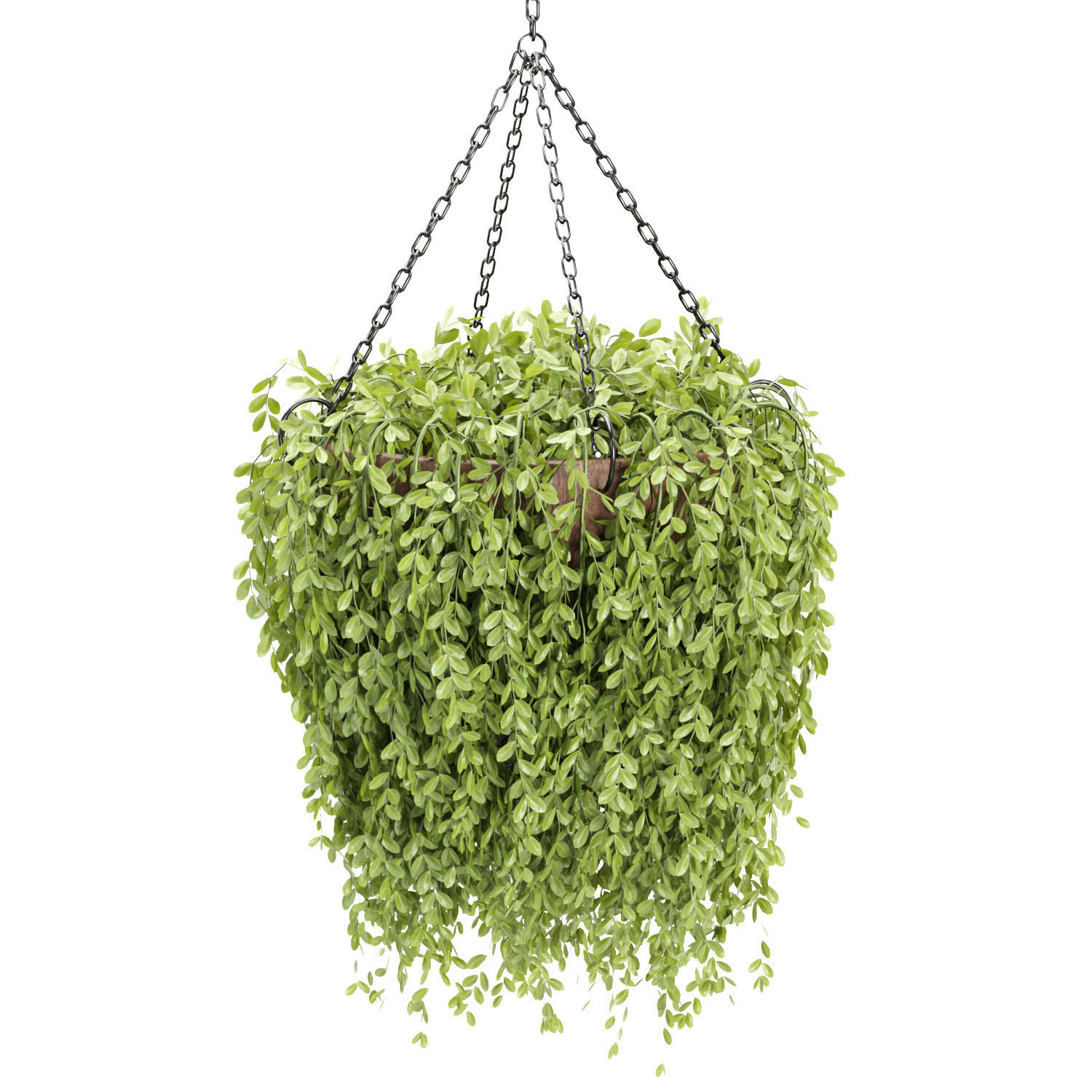 Hanging plants collection vol 142 3D model_3