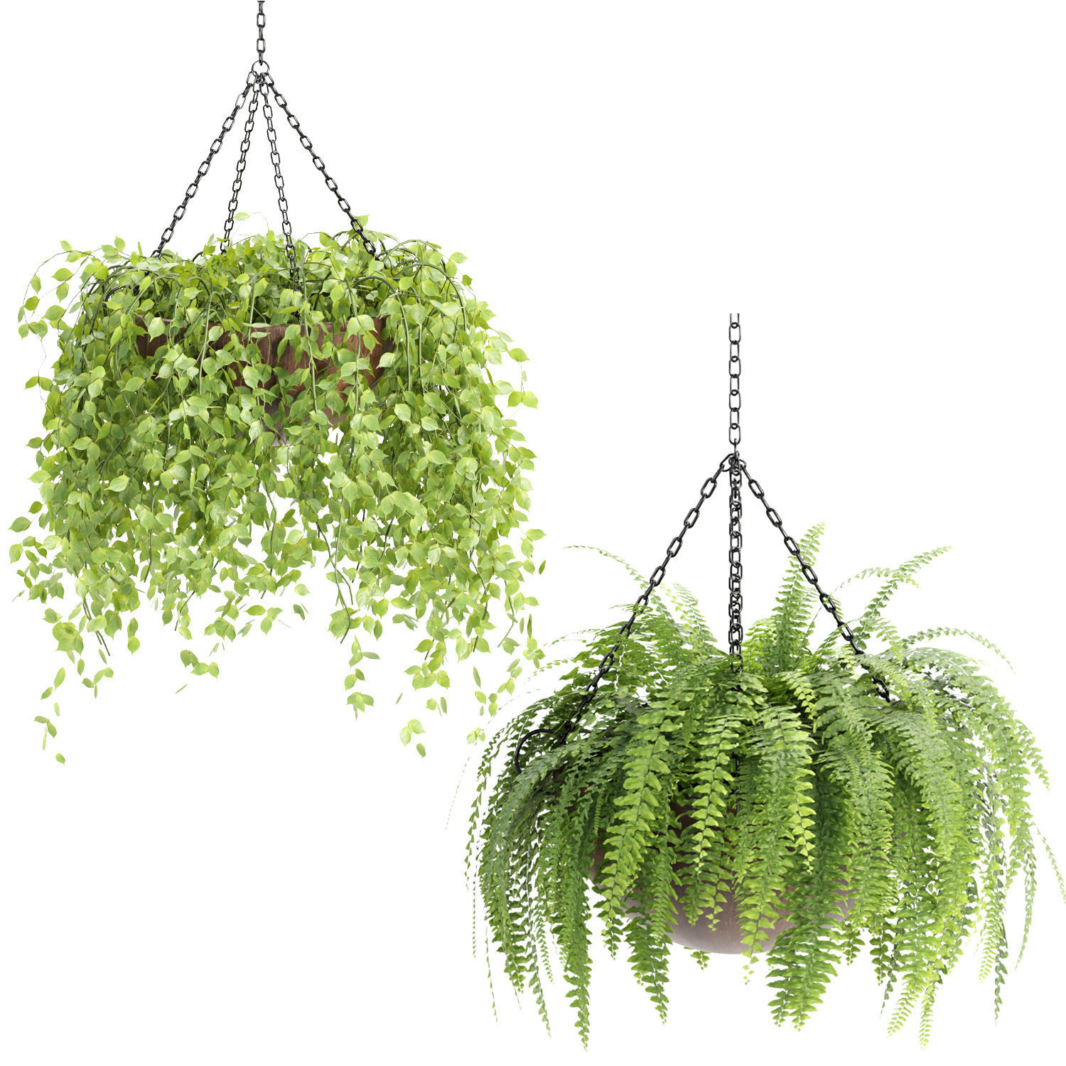 Hanging plants collection vol 142 3D model_8