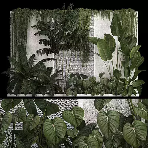 Garden And Tropical Flowerbed With Hanging Plants 1125