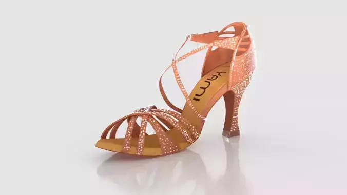 Latin dance shoes
