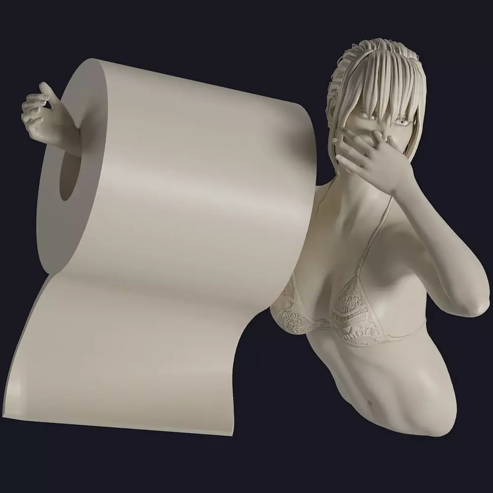 Holder for bathroom 3D print model