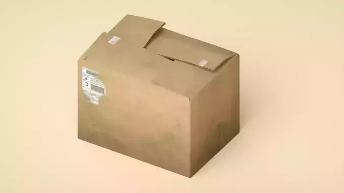 carton cardboard box
