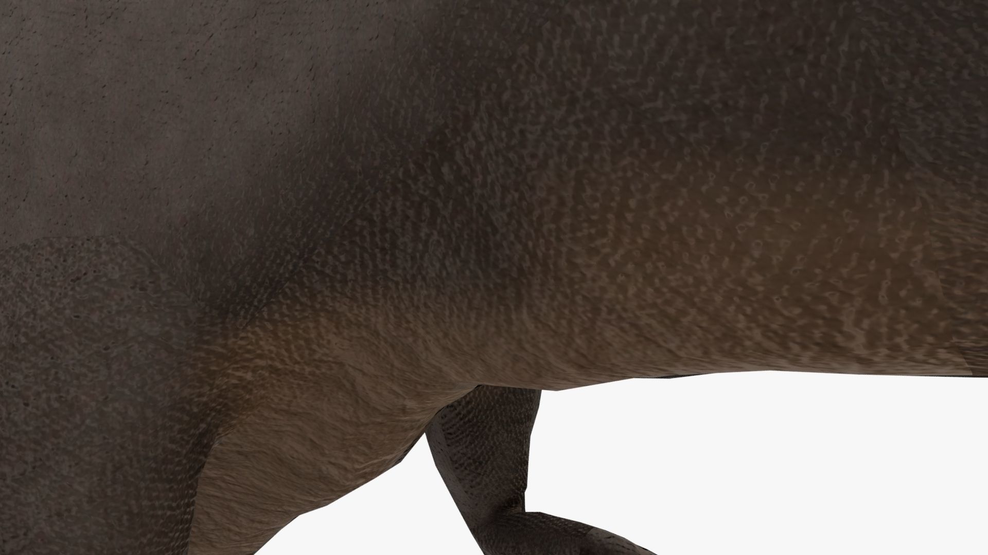 Tyrannosaurus Rex 4K Textures Low-poly 3D model_2