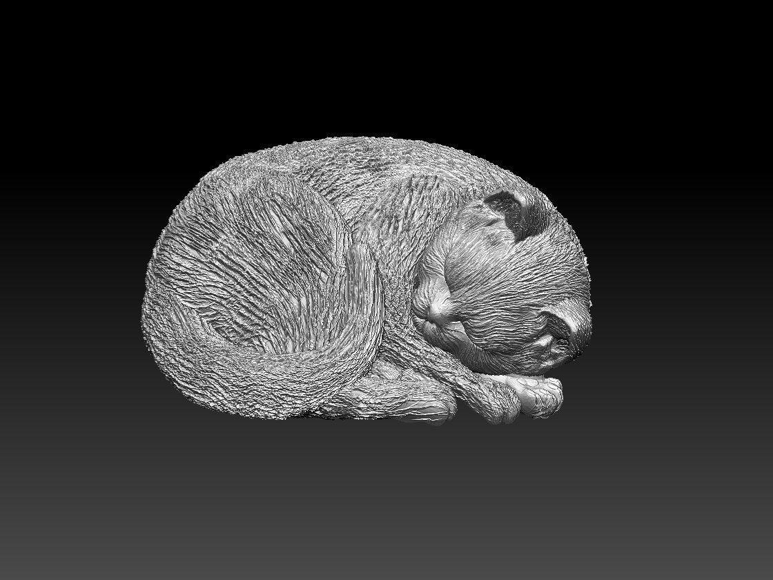 Kitty cat sleeping 3D print model_20