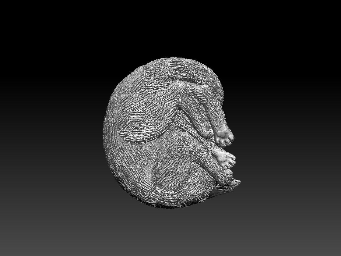 Kitty cat sleeping 3D print model_10