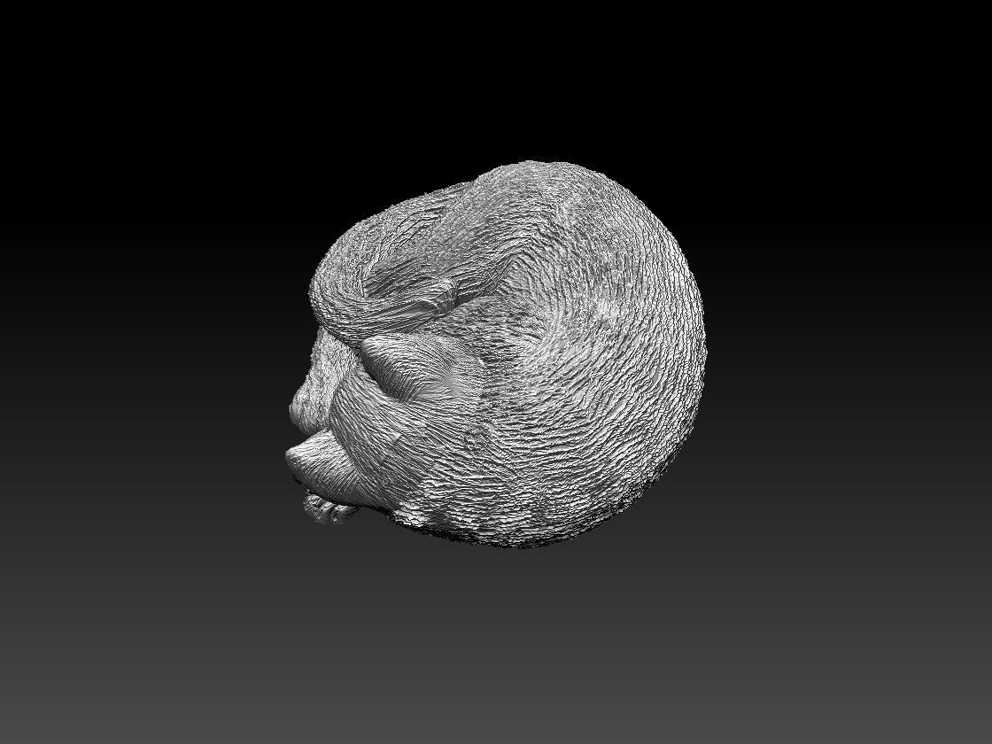 Kitty cat sleeping 3D print model_11