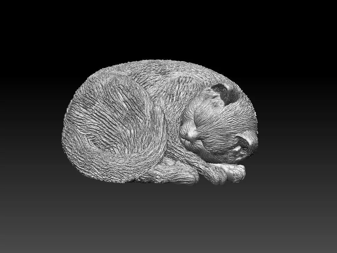 Kitty cat sleeping 3D print model_0
