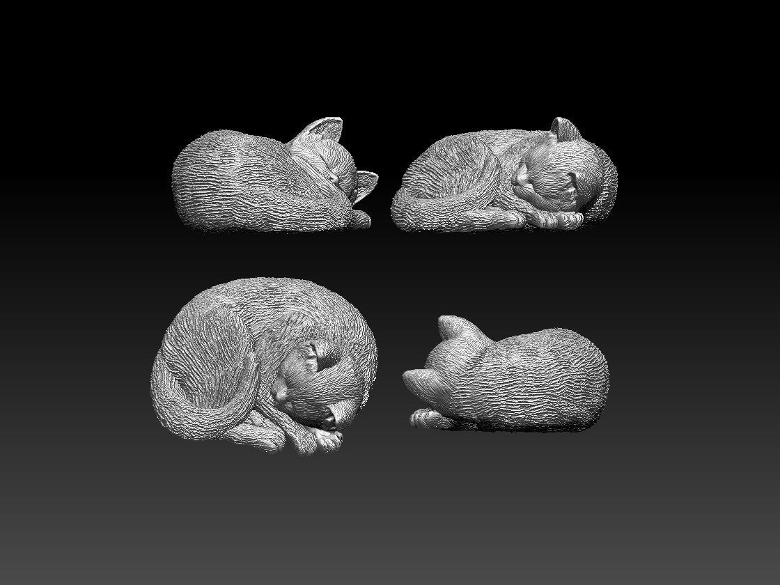 Kitty cat sleeping 3D print model_12
