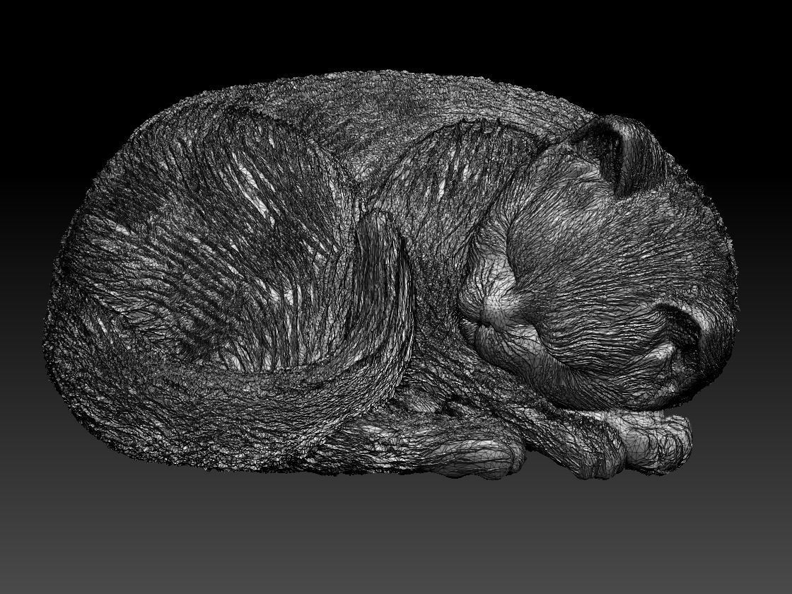 Kitty cat sleeping 3D print model_54