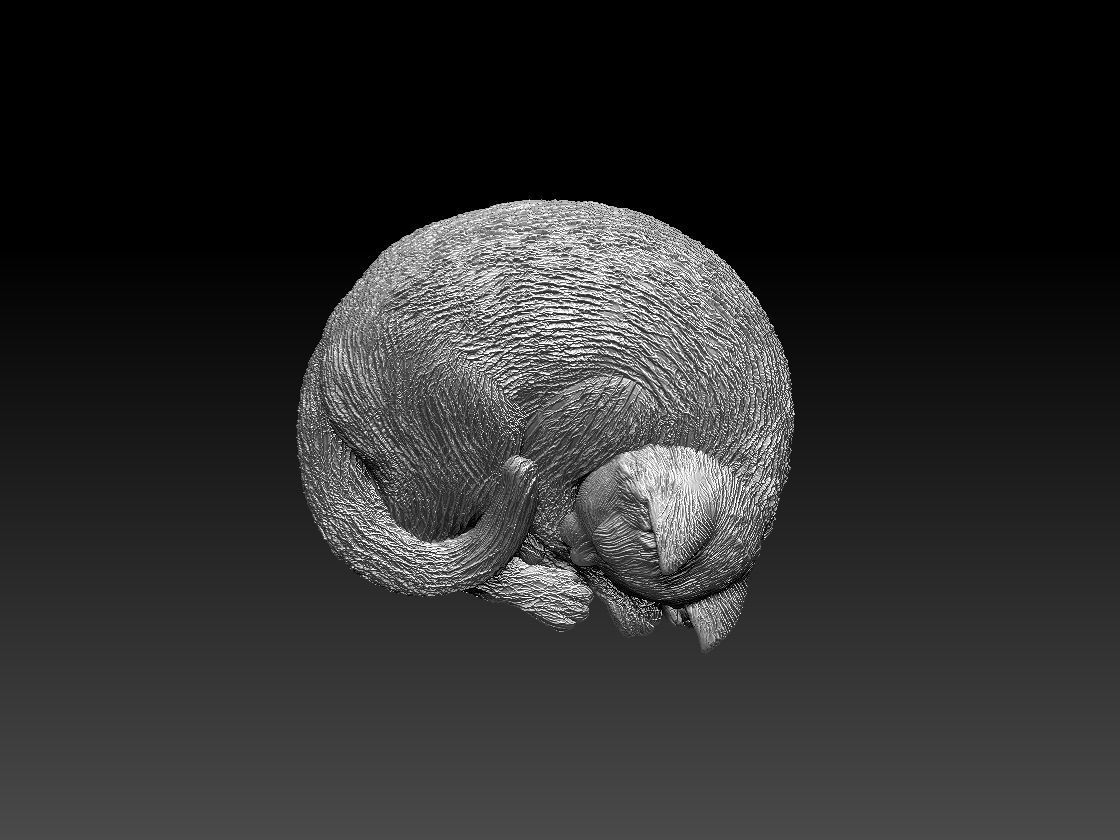 Kitty cat sleeping 3D print model_63