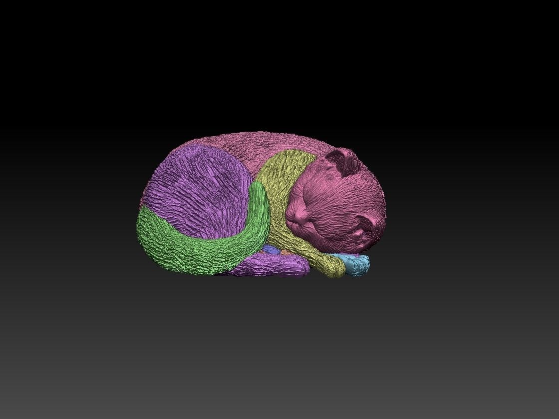 Kitty cat sleeping 3D print model_4