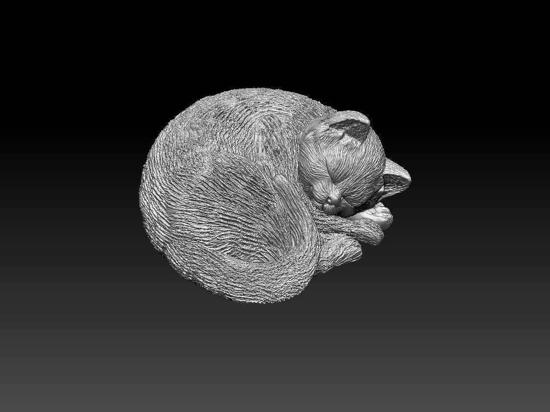 Kitty cat sleeping 3D print model_1