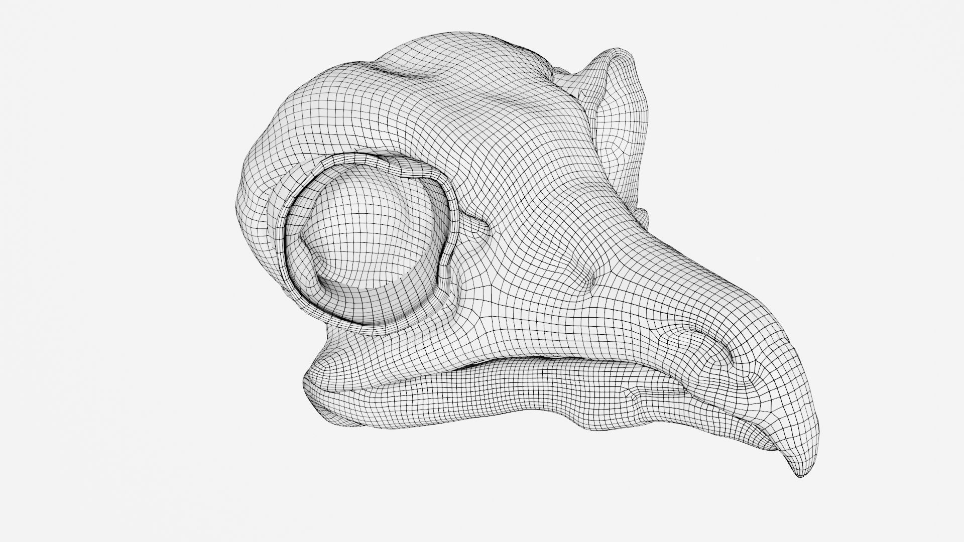 Owl skull 3D model_7