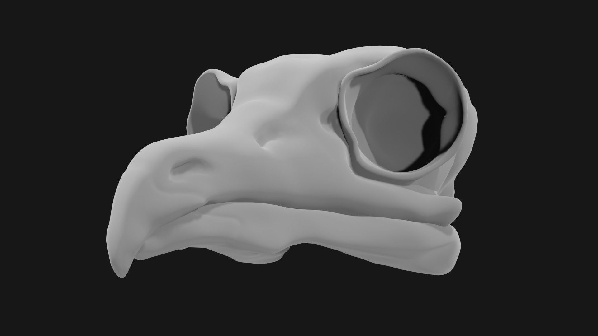 Owl skull 3D model_2