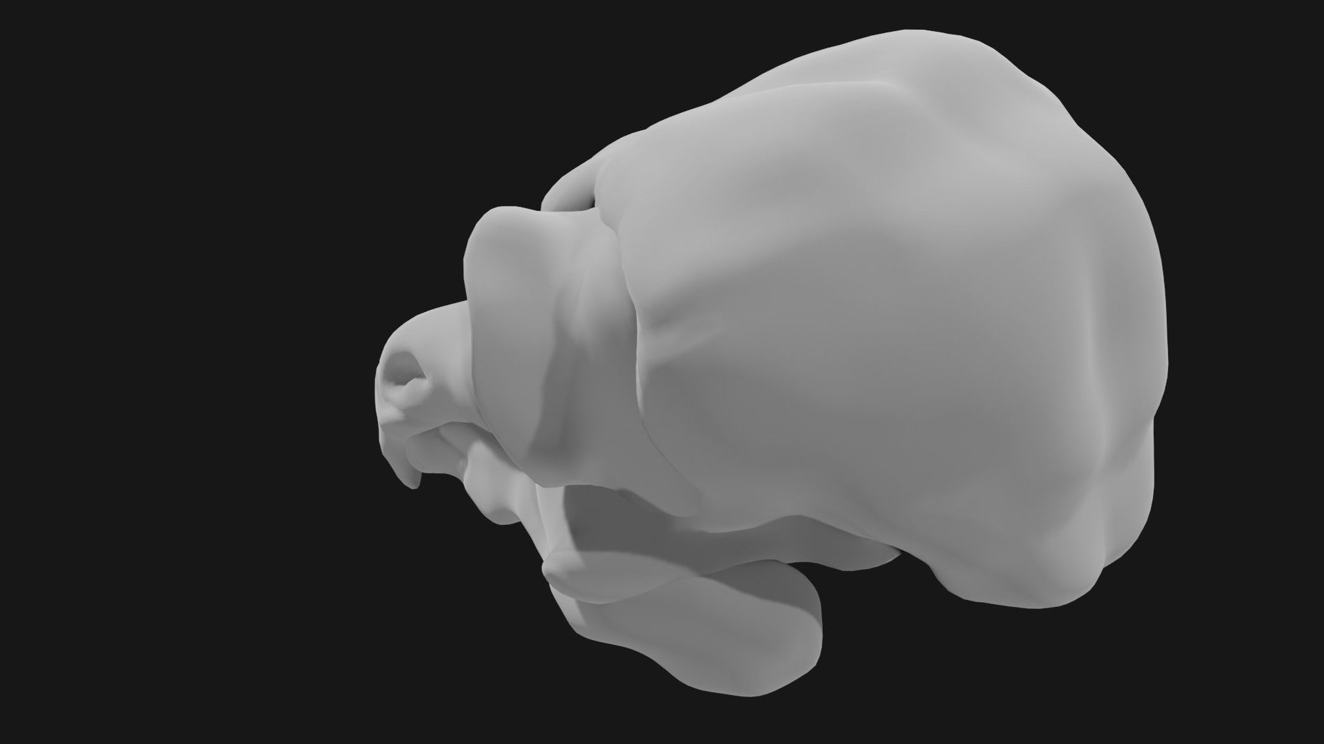 Owl skull 3D model_5