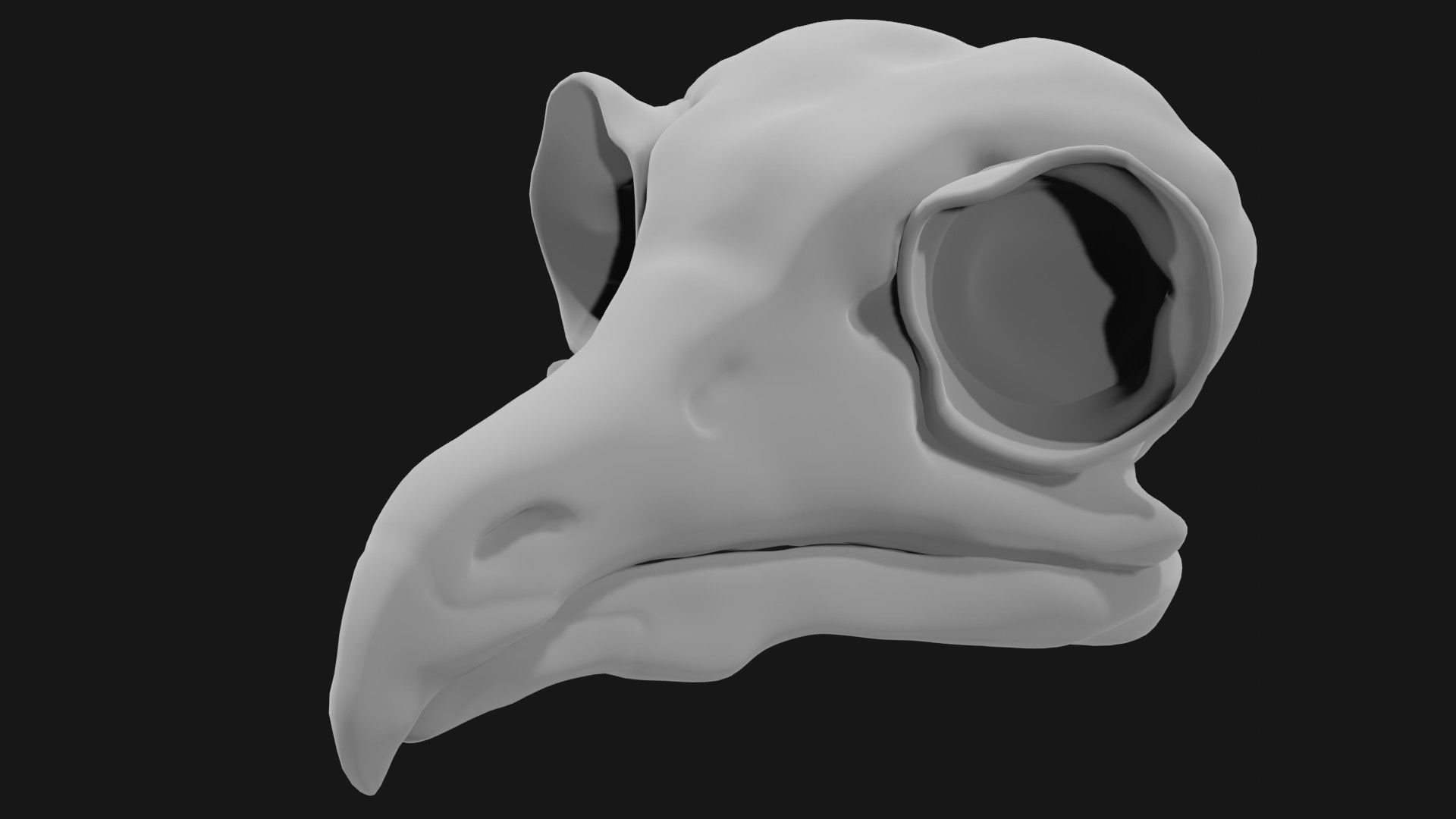 Owl skull 3D model_3