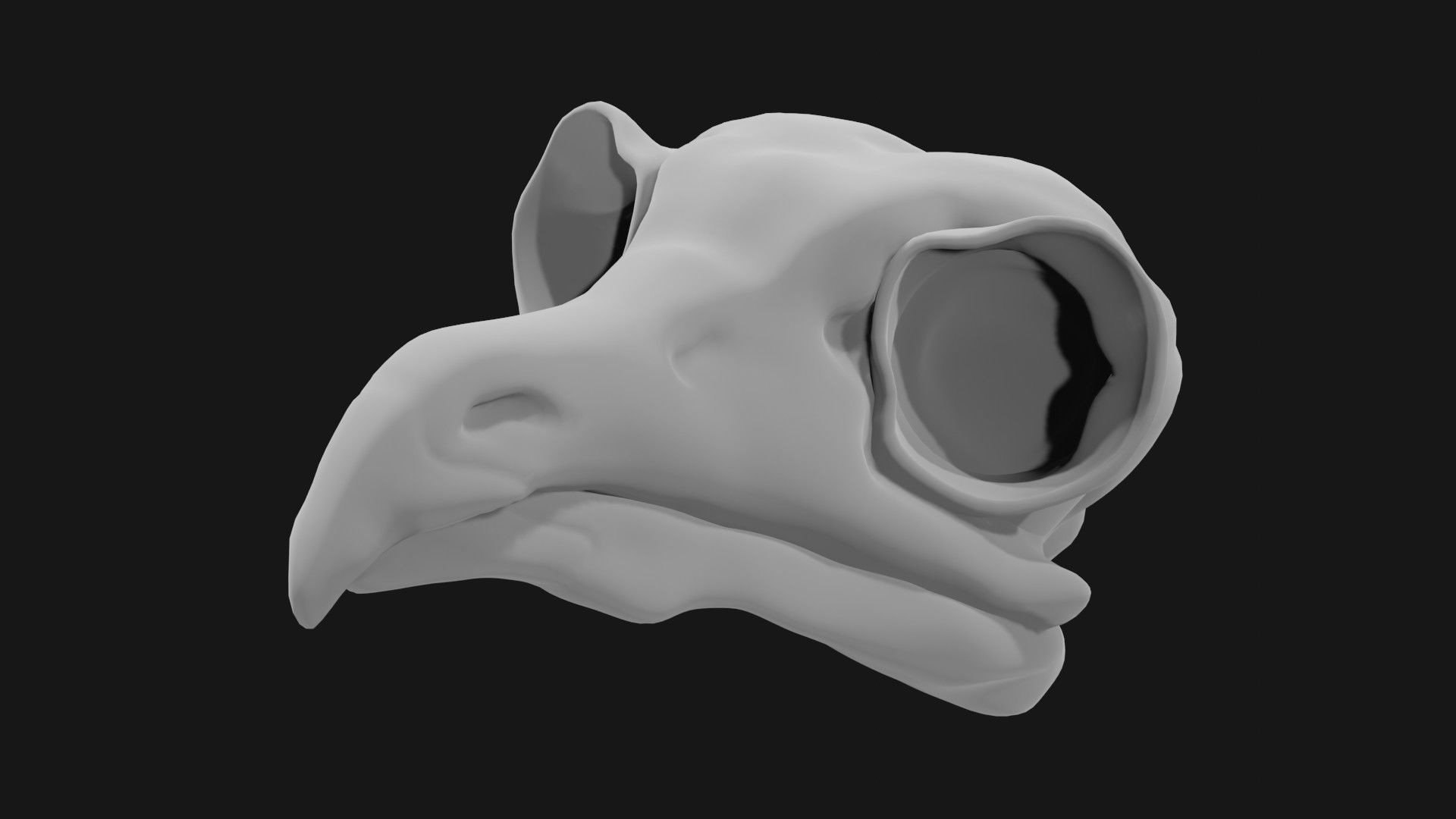 Owl skull 3D model_6