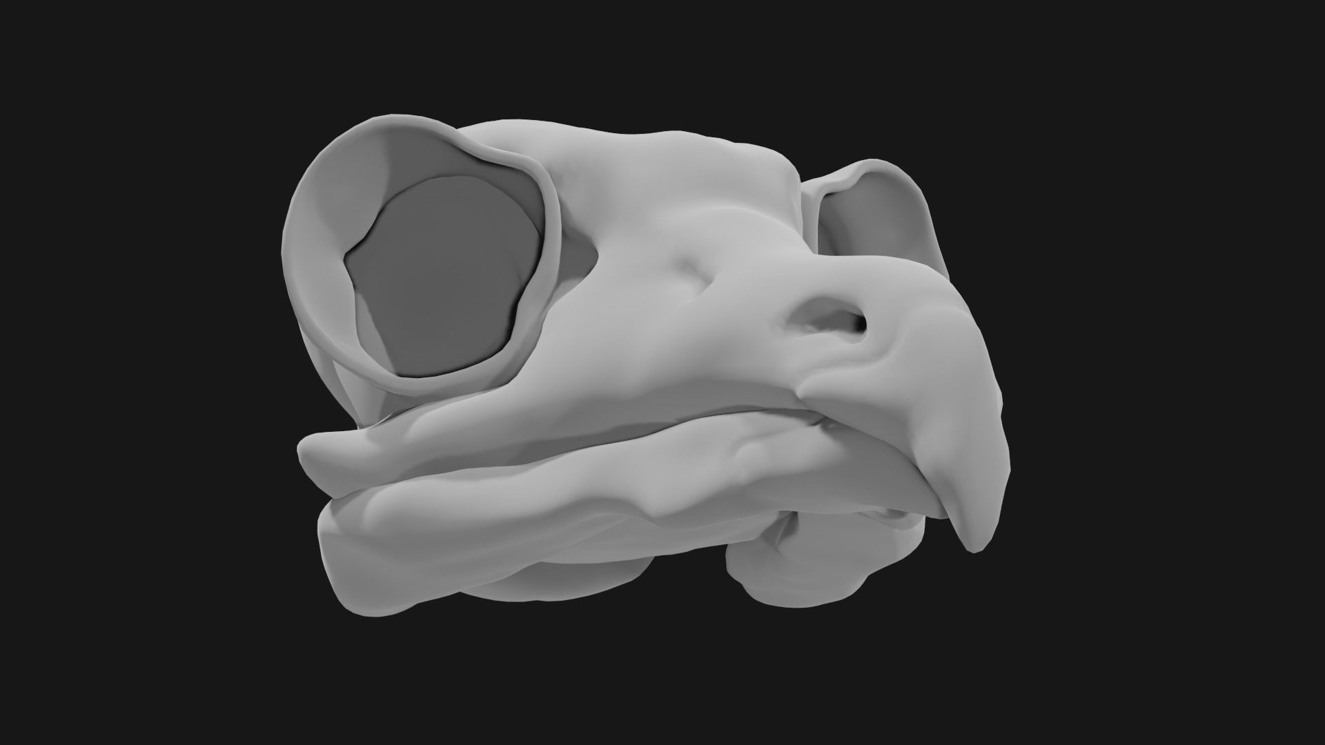 Owl skull 3D model_1