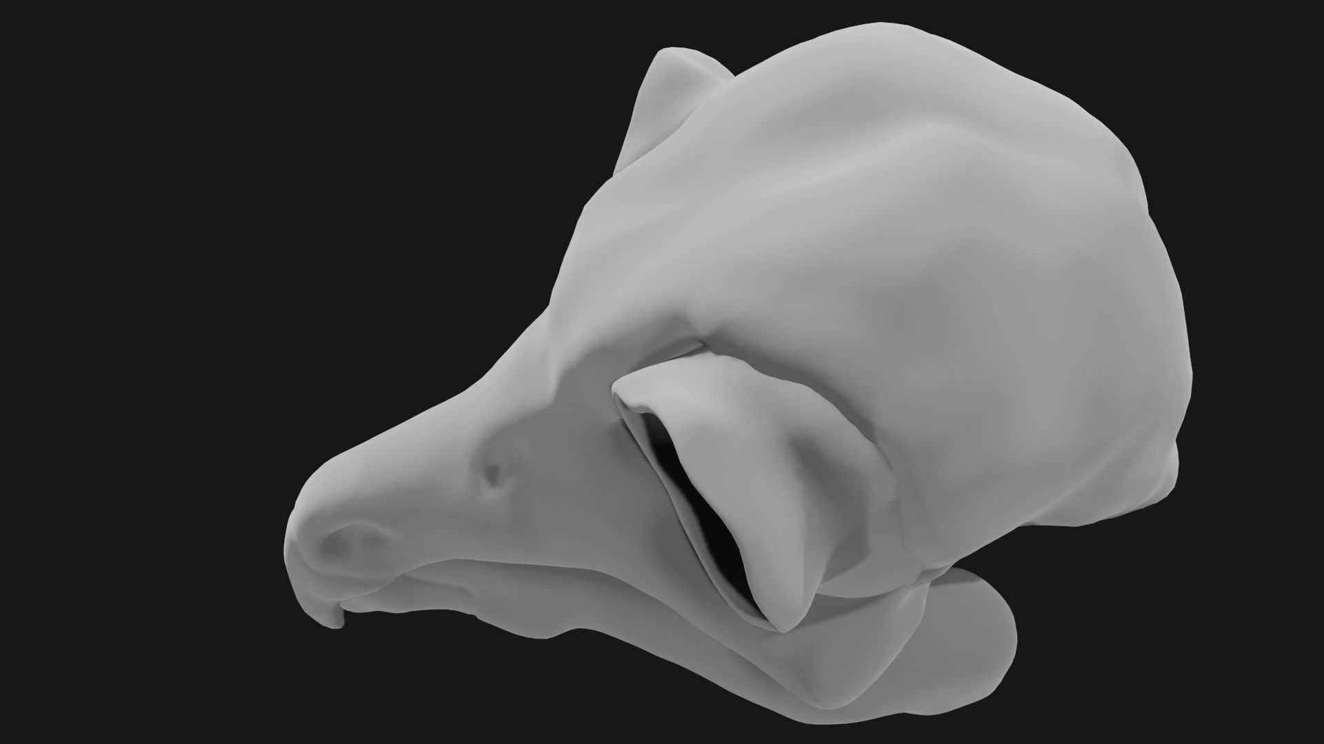 Owl skull 3D model_4