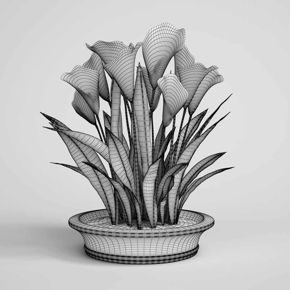 CGAxis flower 3D model_1