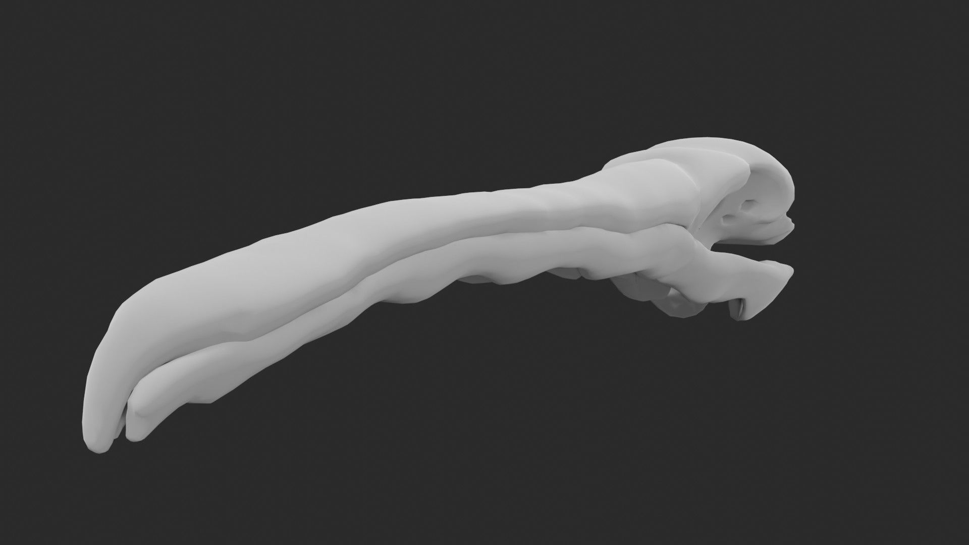 Pelican skull 3D model_4