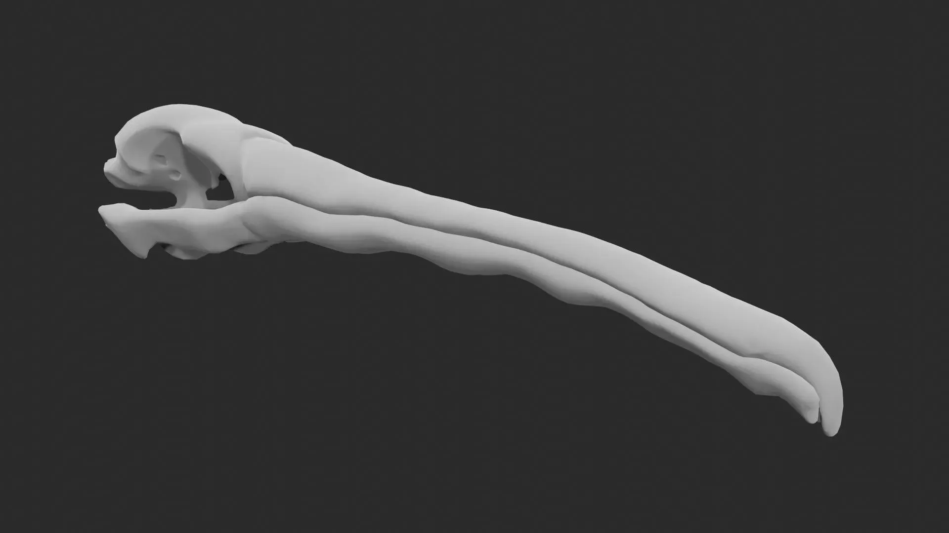 Pelican skull 3D model_0