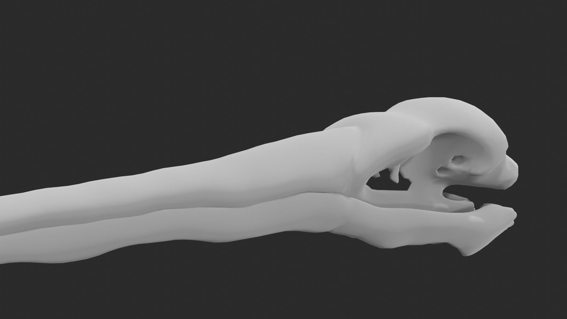 Pelican skull 3D model_3