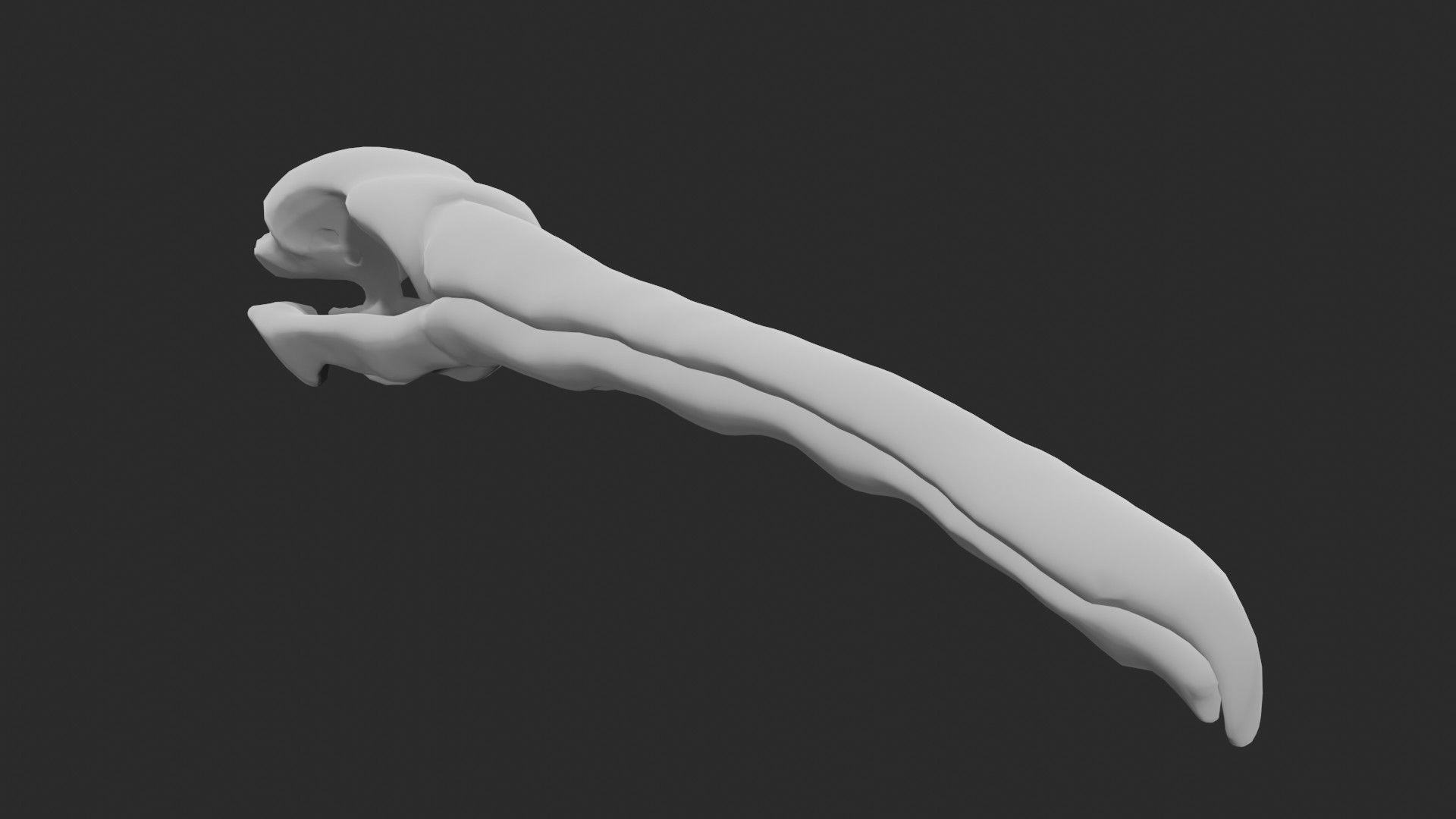 Pelican skull 3D model_1