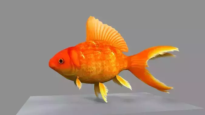 Gold Fish