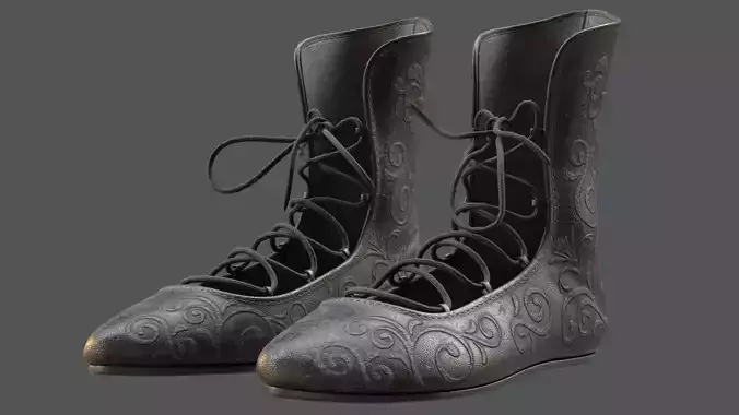 Renaissance Leather Shoes