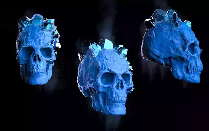 SKULL CRYSTAL FROST