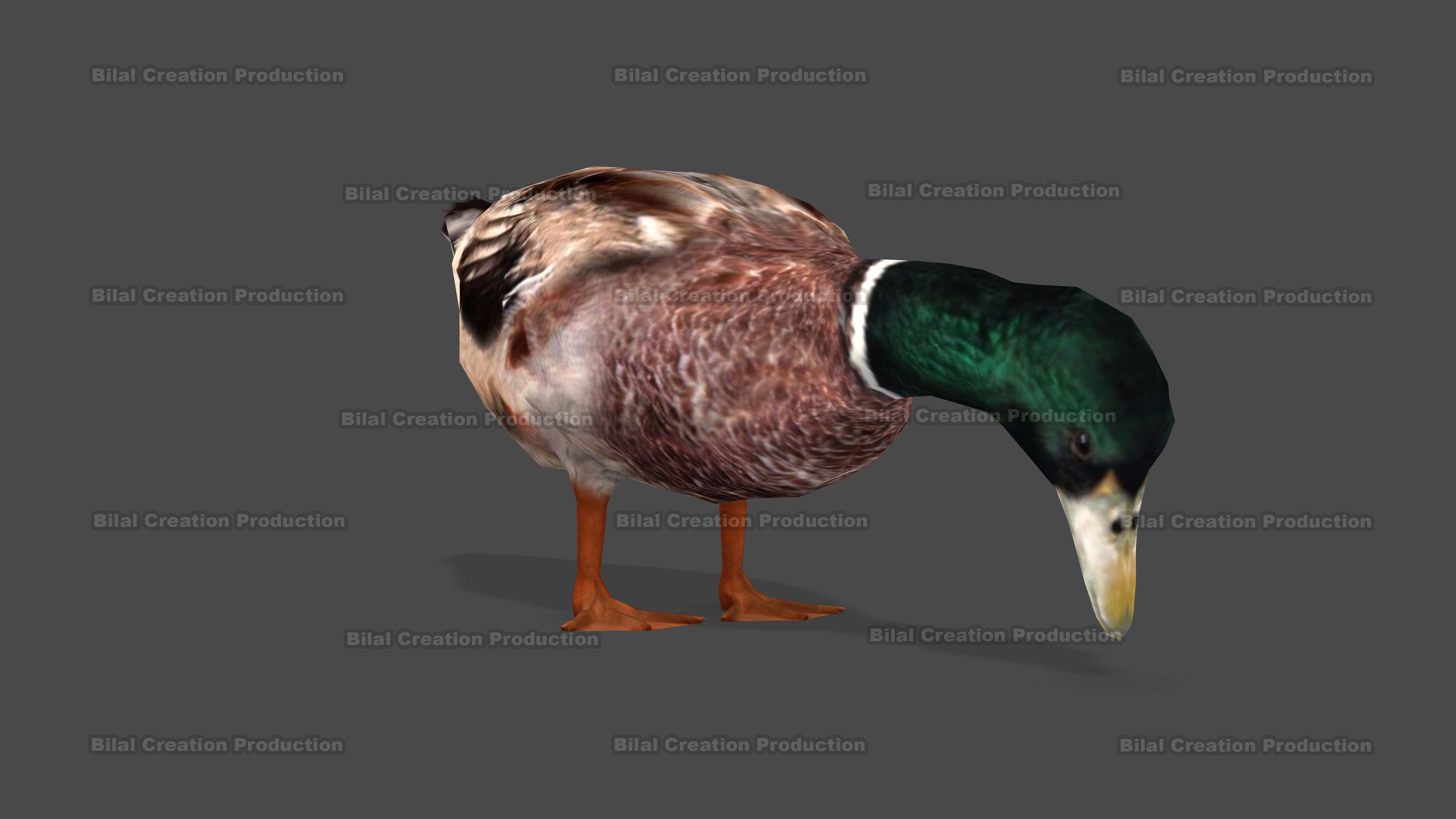 DUCK MALE ANIMATED Low-poly 3D model_11